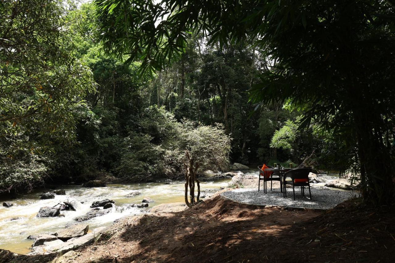 Avadale Coorg - Stag Groups Not Allowed Ammatti Exterior foto
